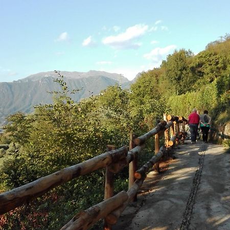 Agriturismo Cascina Lert Marone Ngoại thất bức ảnh