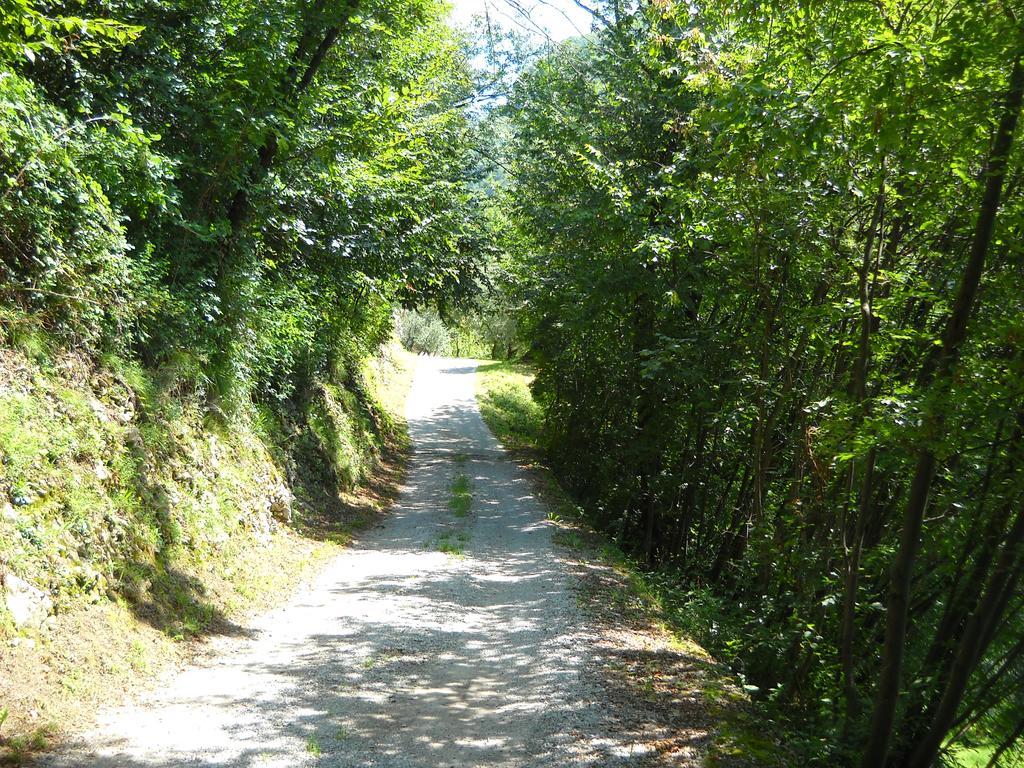 Agriturismo Cascina Lert Marone Ngoại thất bức ảnh